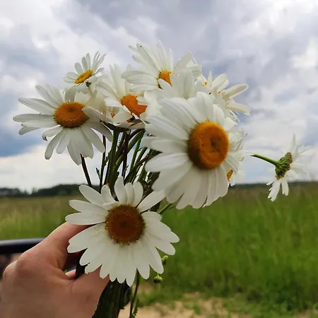 Pokoje W Sercu Mazur Apartmán