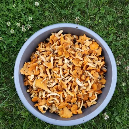 Apartmán Pokoje W Sercu Mazur *